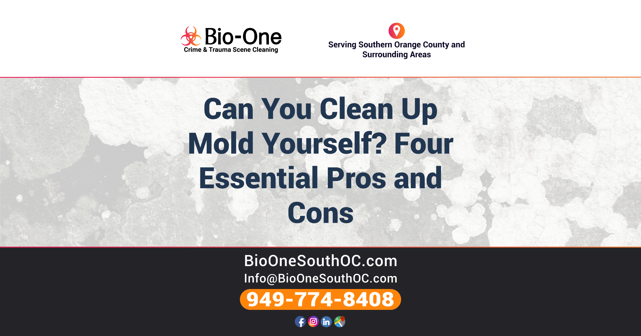 Can You Clean Up Mold Yourself? Four Essential Pros and Cons