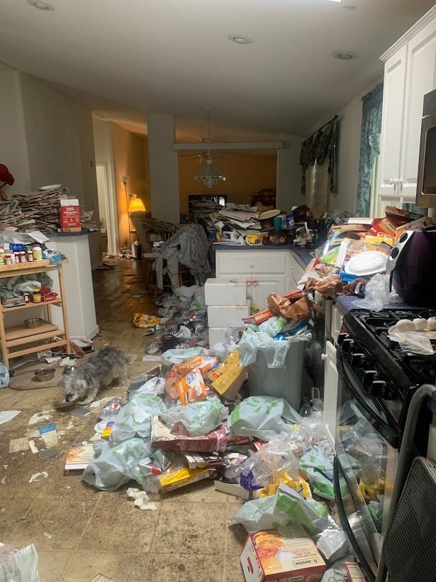 example of hoarded deteriorated home