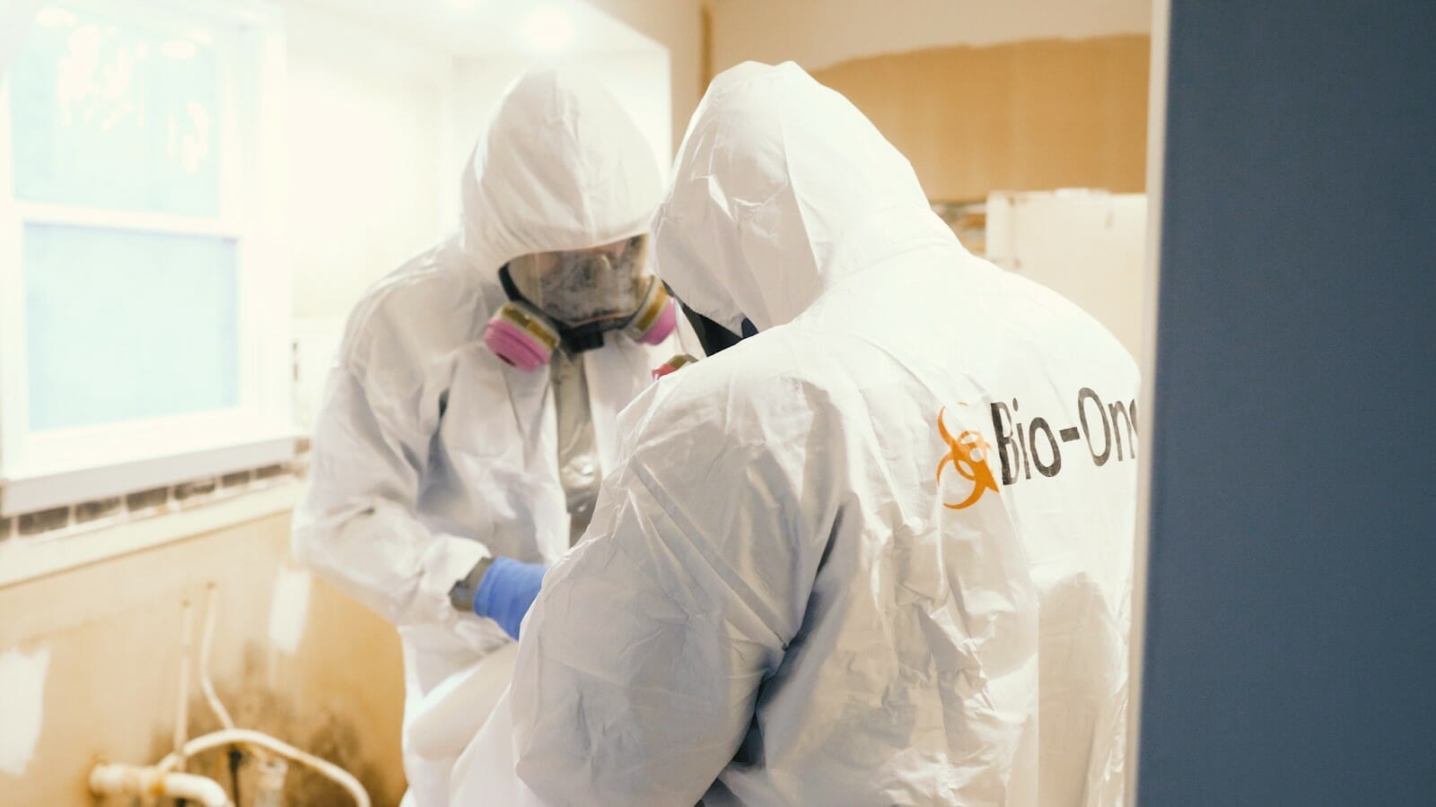 odor removal technicians