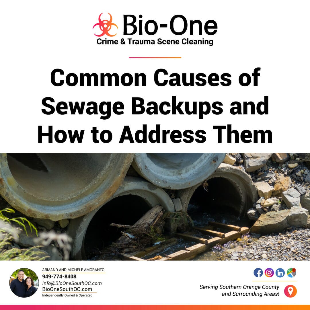 Common Causes of Sewage Backups and How to Address Them - Bio-One of South OC