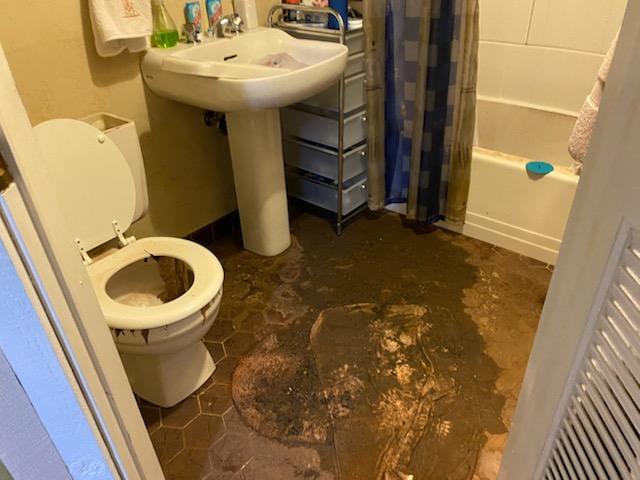 sewage backup in bathroom example