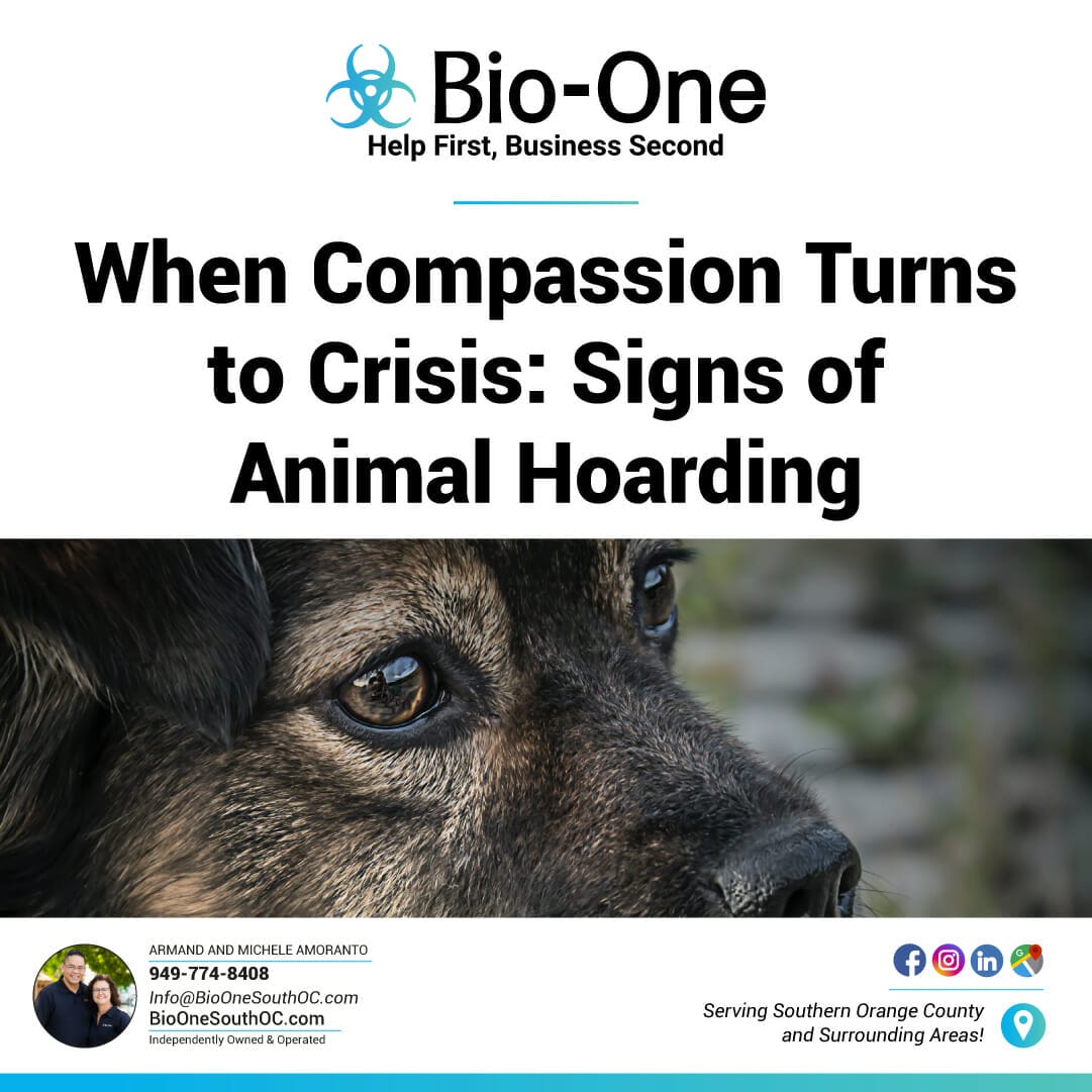 When Compassion Turns to Crisis: Signs of Animal Hoarding - Bio-One of South OC