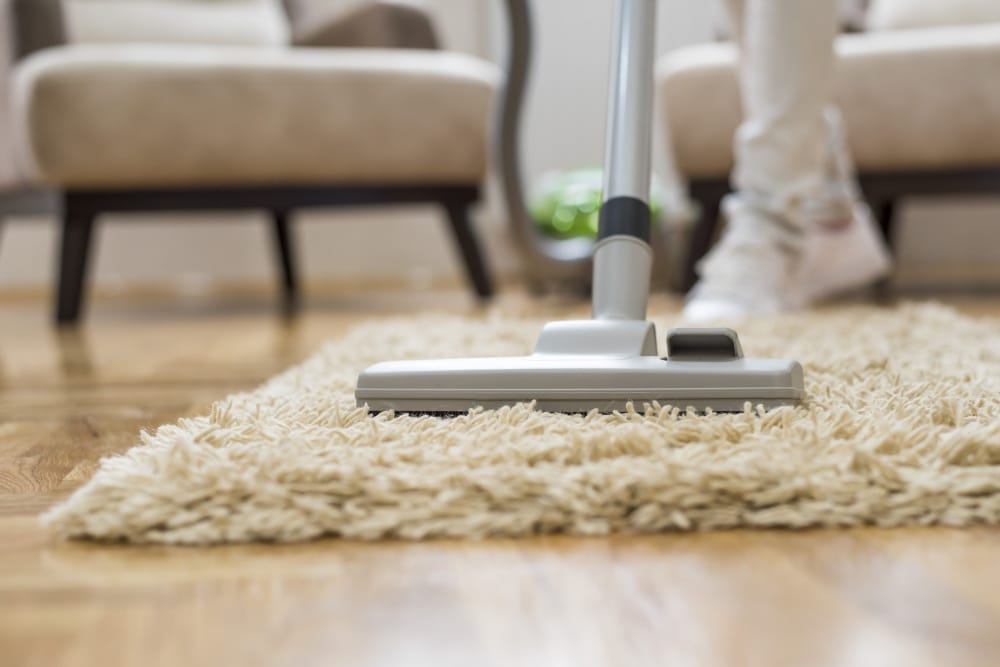 deep clean carpet furniture