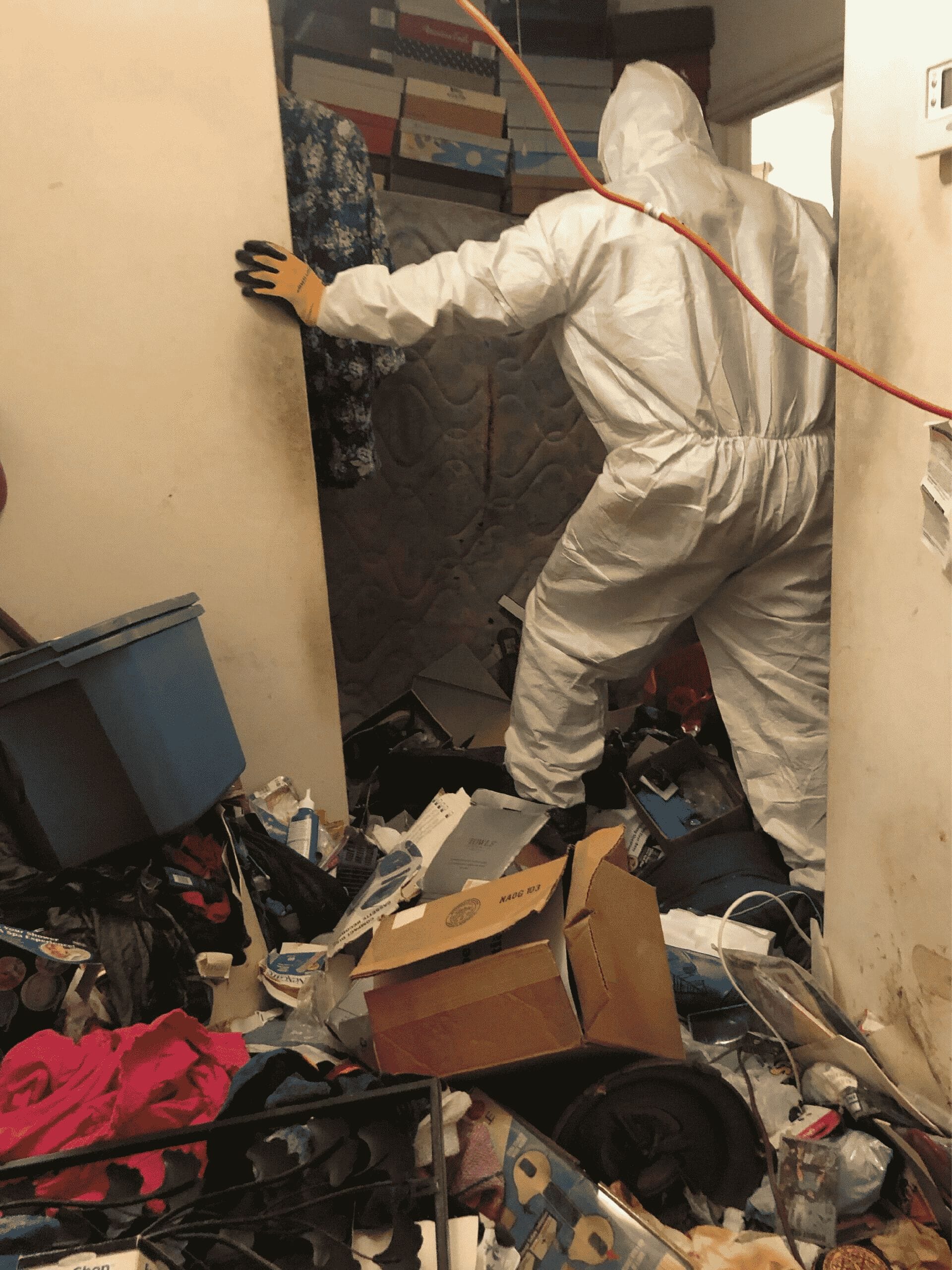 hoarding cleanup technician in hoarded home