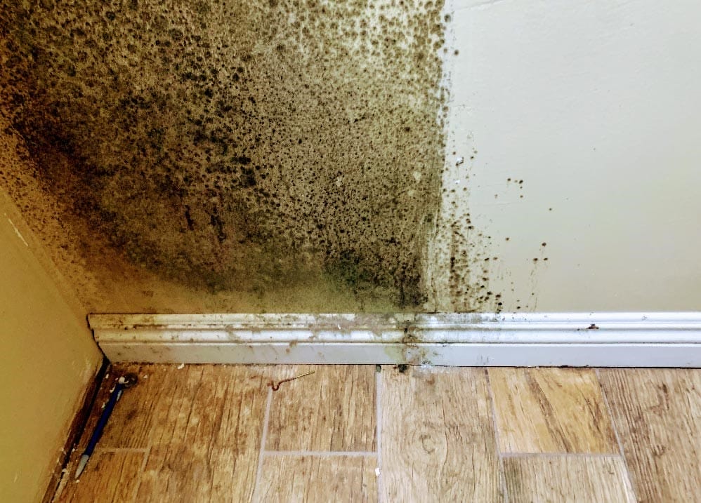 mold damage behind bathroom sink