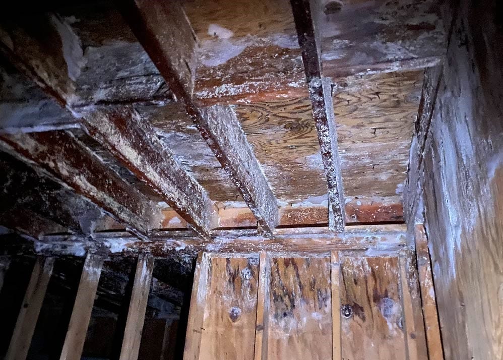 severe water damage.
