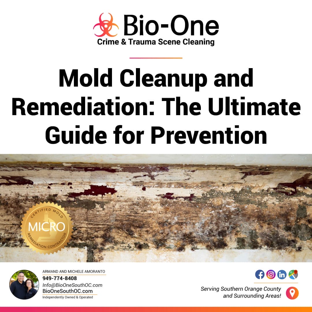 Mold Cleanup and Remediation: The Ultimate Guide for Prevention - Bio-One of South OC