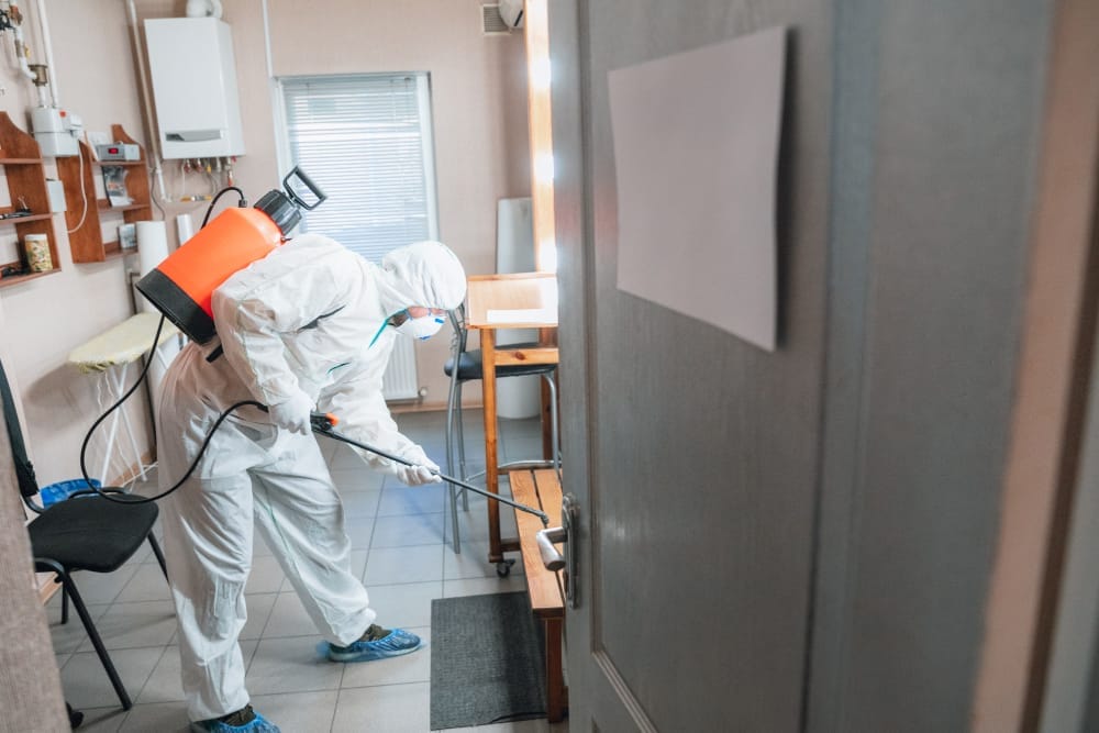 pest control service example