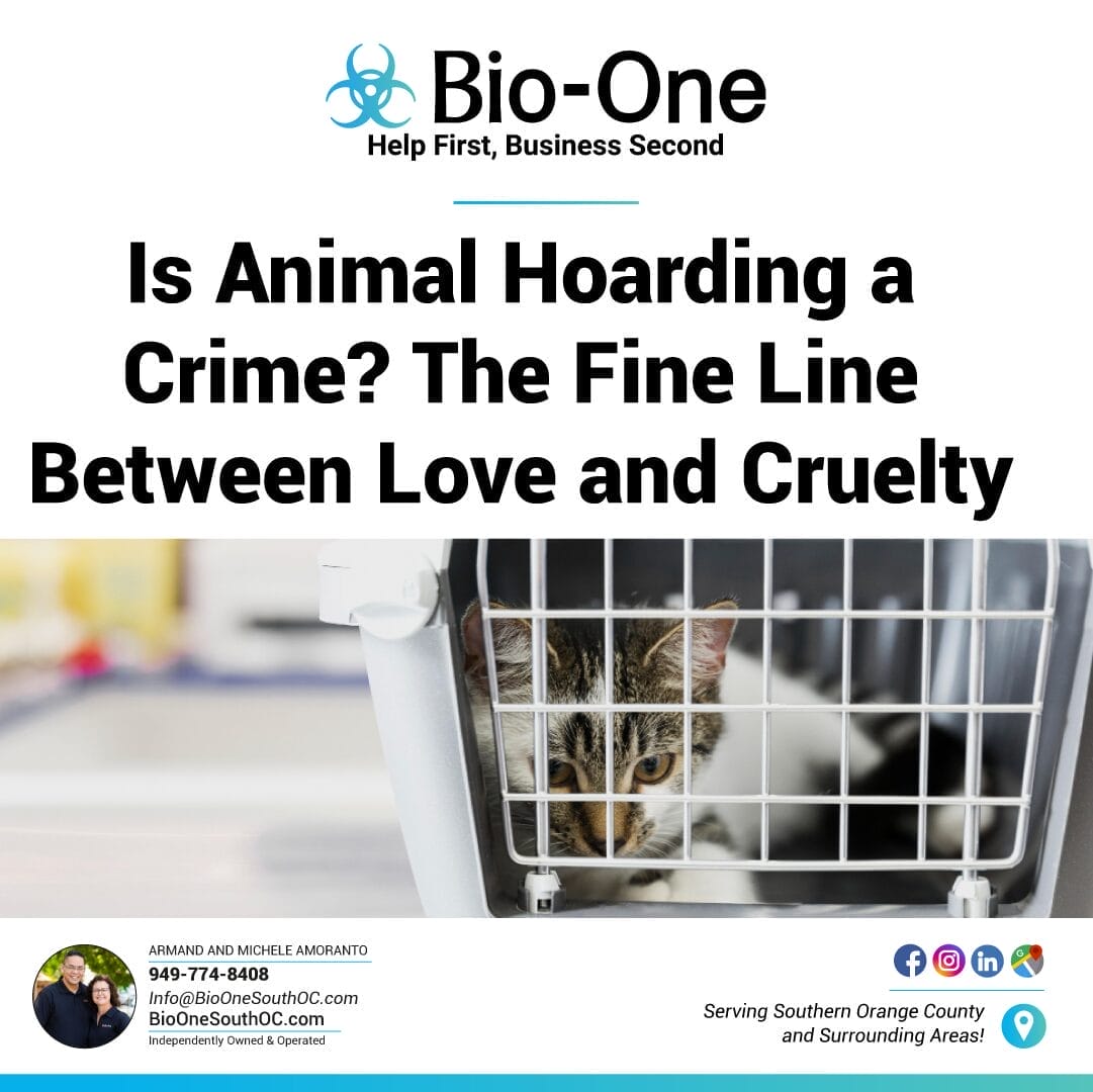 Is Animal Hoarding a Crime The Fine Line Between Love and Cruelty - Bio-One of South OC