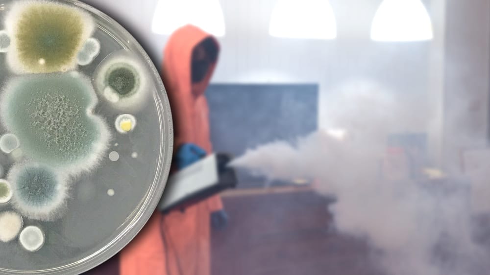 plate cleaning residue fogging method