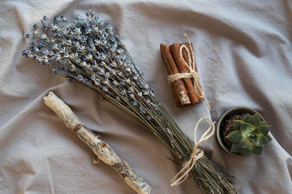 diy natural odor fresheners
